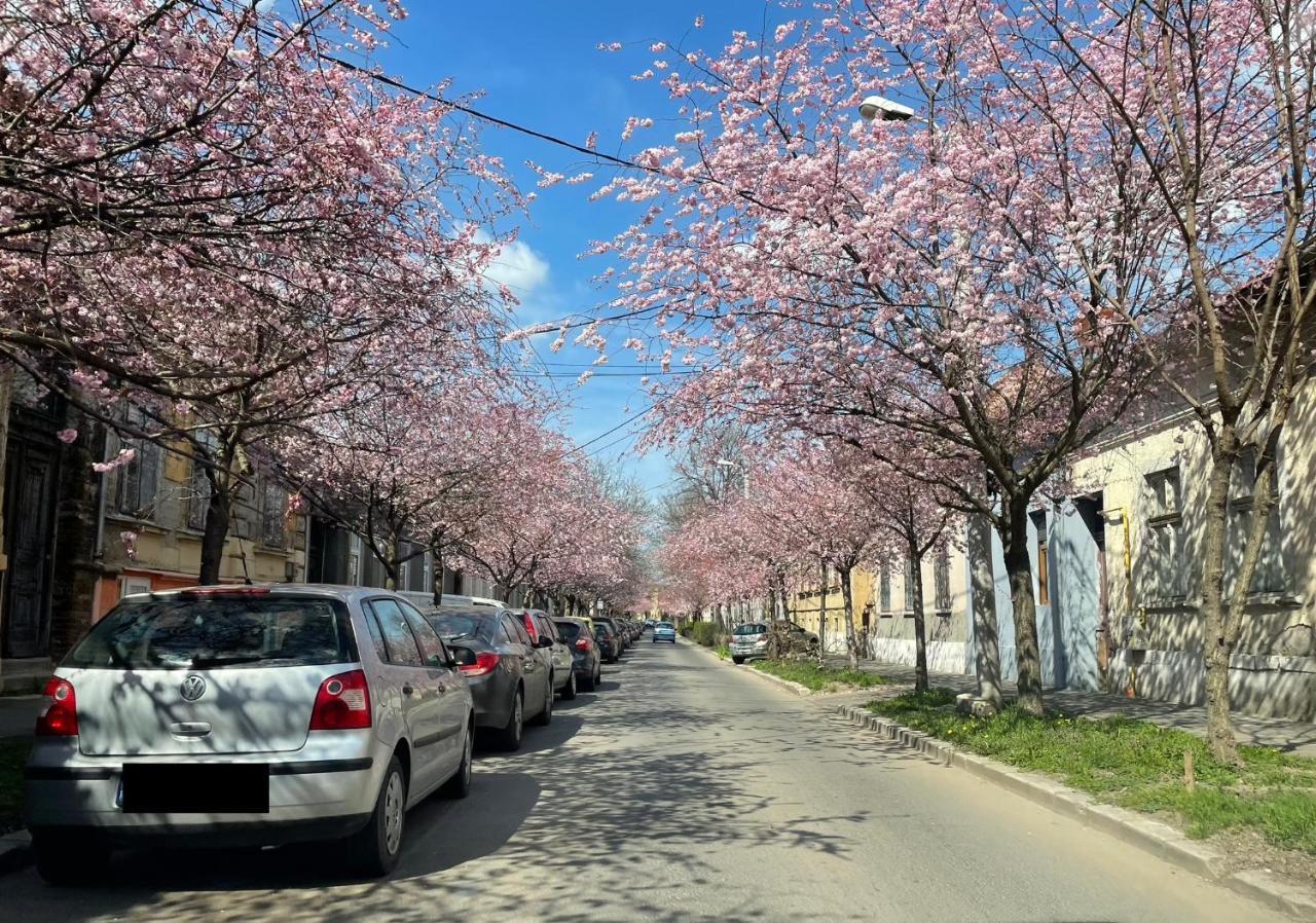 Dulcineea Downtown Garden Studio Тимишоара Экстерьер фото