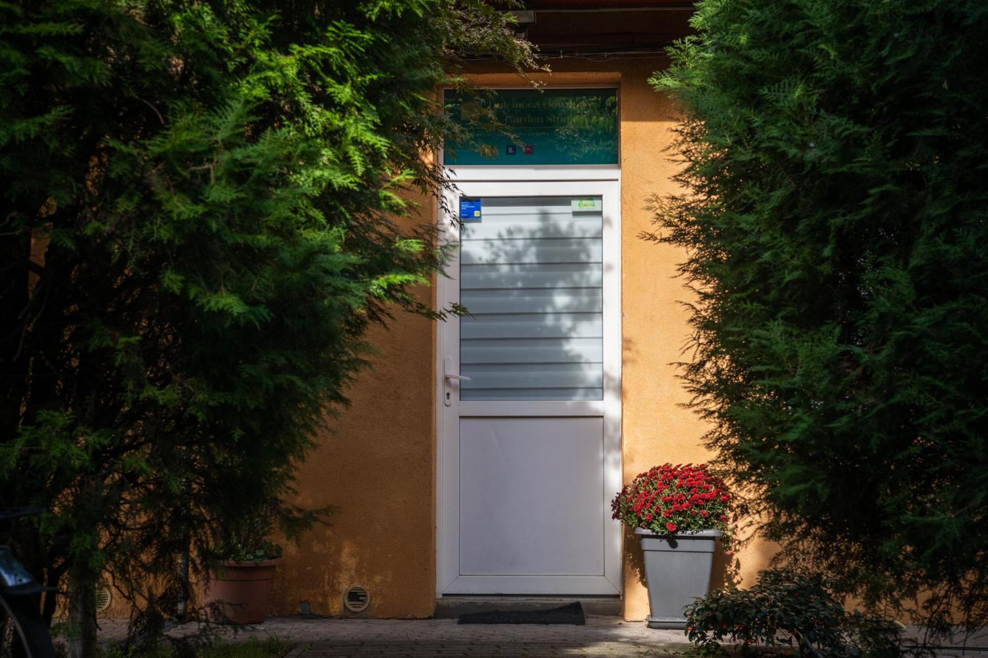Dulcineea Downtown Garden Studio Тимишоара Экстерьер фото